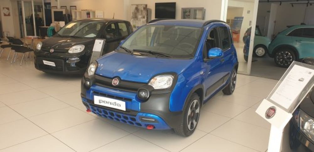 Fiat Panda Cross usata a Imperia