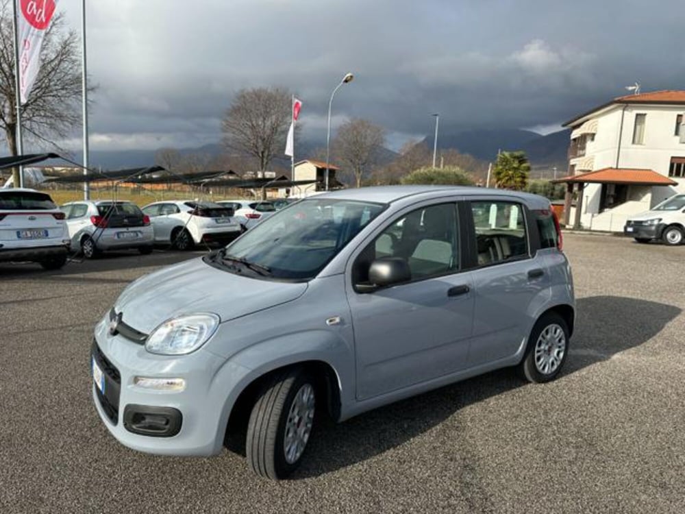 Fiat Panda usata a Pordenone (2)