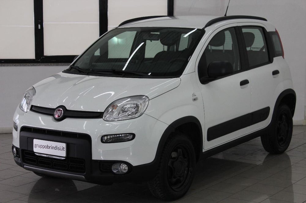 Fiat Panda usata a Potenza (3)