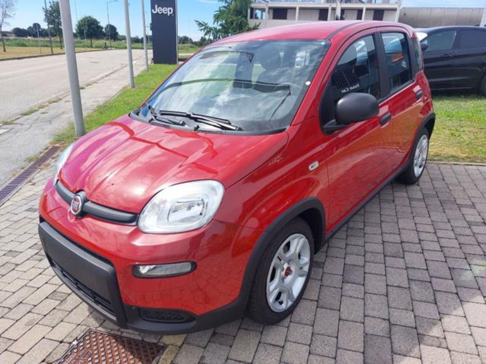 Fiat Panda nuova a Padova (2)