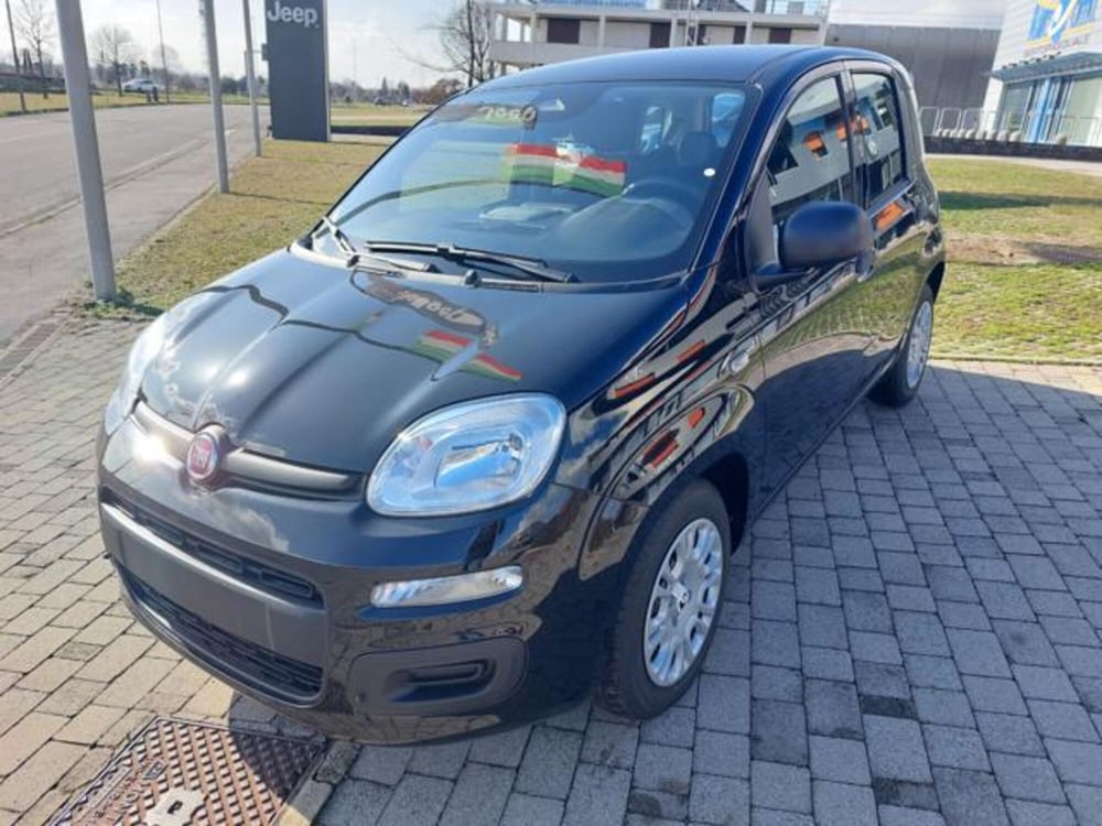 Fiat Panda nuova a Padova (2)