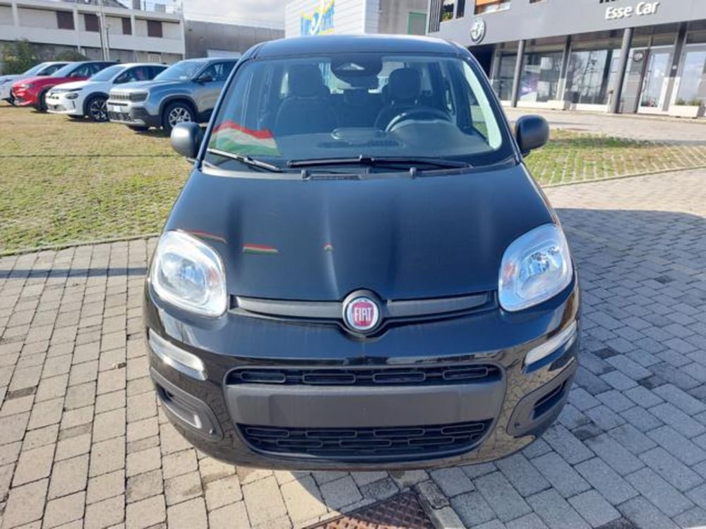 Fiat Panda nuova a Padova (6)