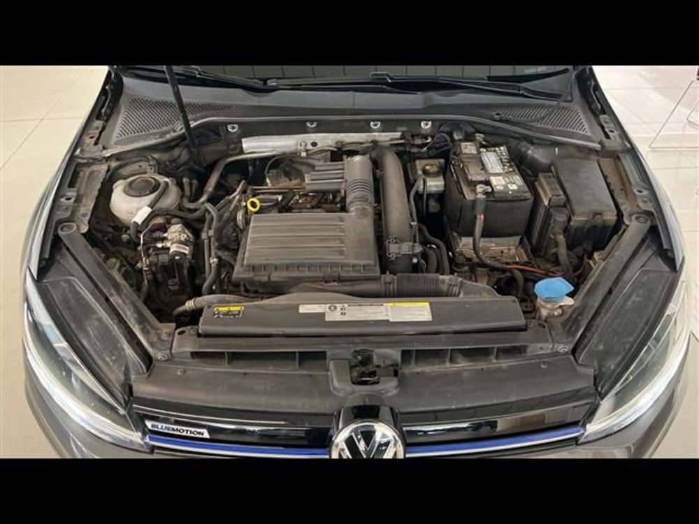 Volkswagen Golf usata a Firenze (14)