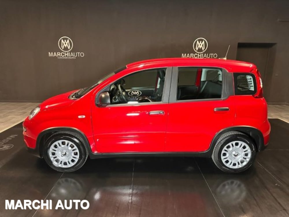 Fiat Panda nuova a Perugia (8)