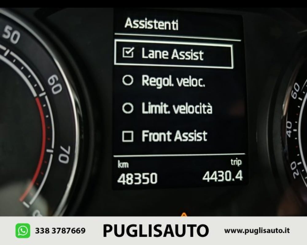 Skoda Fabia usata a Catania (9)