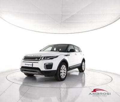 Land Rover Range Rover Evoque 2.0 TD4 150 CV 5p. SE  del 2016 usata a Corciano