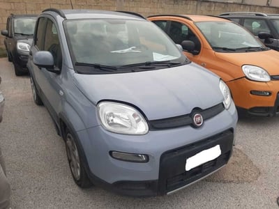 Fiat Panda 1.0 FireFly S&amp;S Hybrid City Cross  del 2022 usata a Cortona