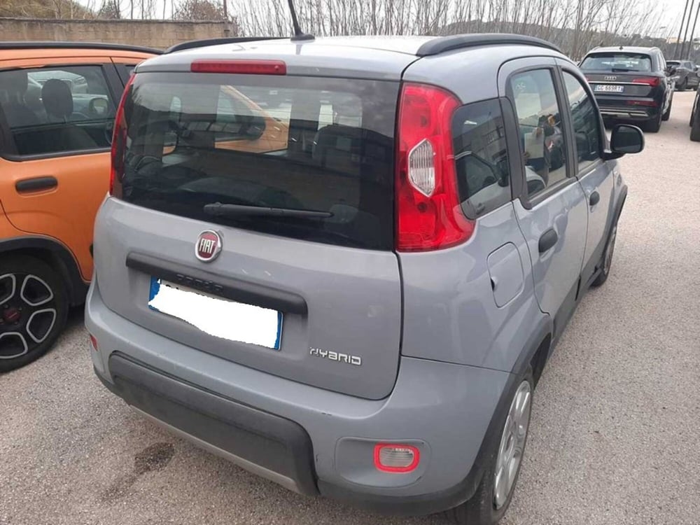 Fiat Panda usata a Arezzo (3)