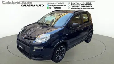 Fiat Panda 1.2 EasyPower City Life del 2021 usata a Gioia Tauro