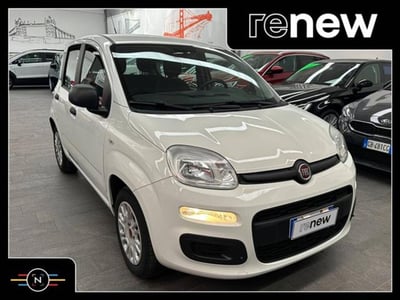 Fiat Panda 1.2 EasyPower Easy  del 2019 usata a Vaiano Cremasco