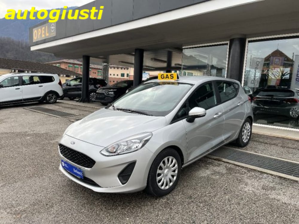 Ford Fiesta usata a Belluno