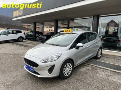 Ford Fiesta 1.1 75 CV GPL 5 porte del 2019 usata a Feltre