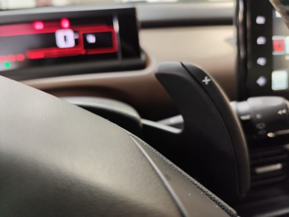 Citroen C4 Cactus usata a Torino (18)