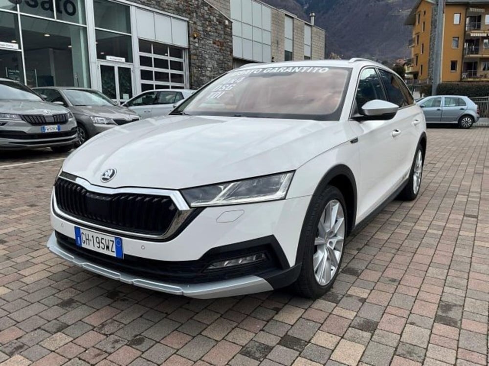 Skoda Octavia Station Wagon usata a Sondrio