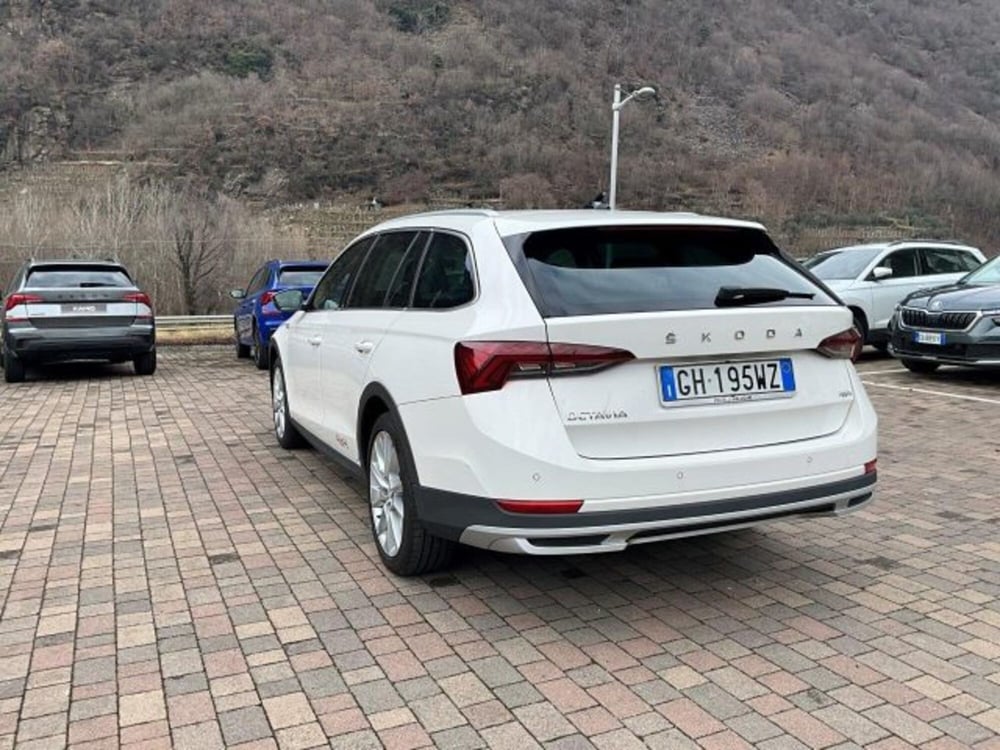 Skoda Octavia Station Wagon usata a Sondrio (12)