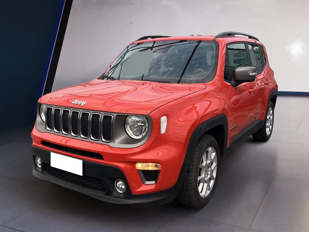 Jeep Renegade usata a Torino (2)