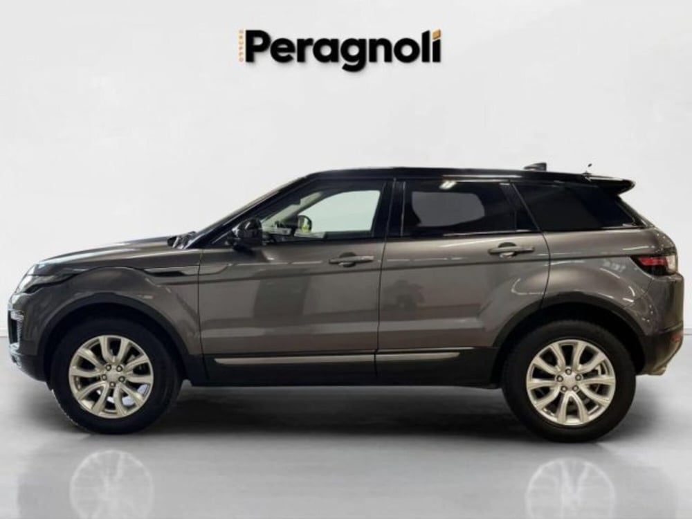 Land Rover Range Rover Evoque usata a Firenze (7)