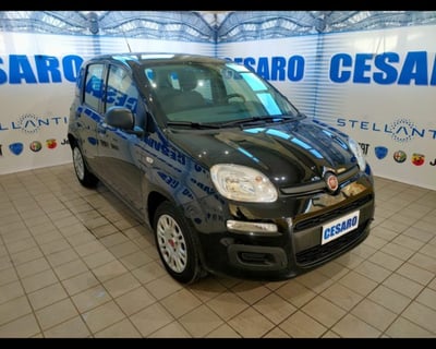 Fiat Panda 1.0 firefly hybrid s&amp;s 70cv 5p.ti del 2022 usata a Pont Saint Martin