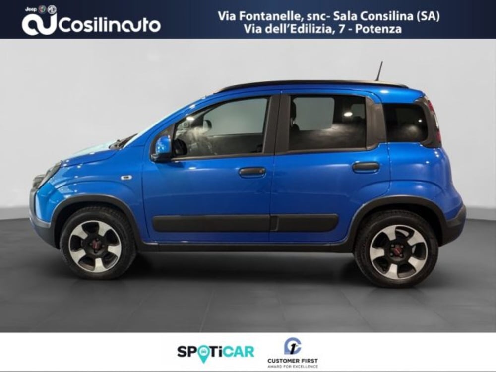 Fiat Panda Cross usata a Salerno (2)