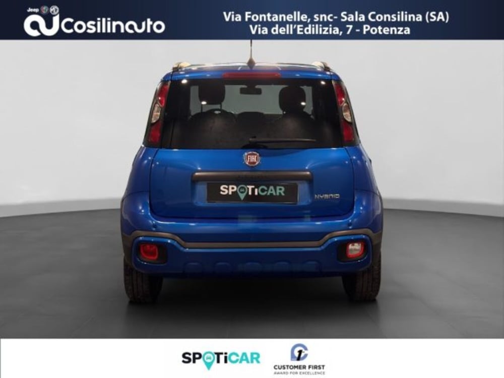 Fiat Panda Cross usata a Salerno (4)