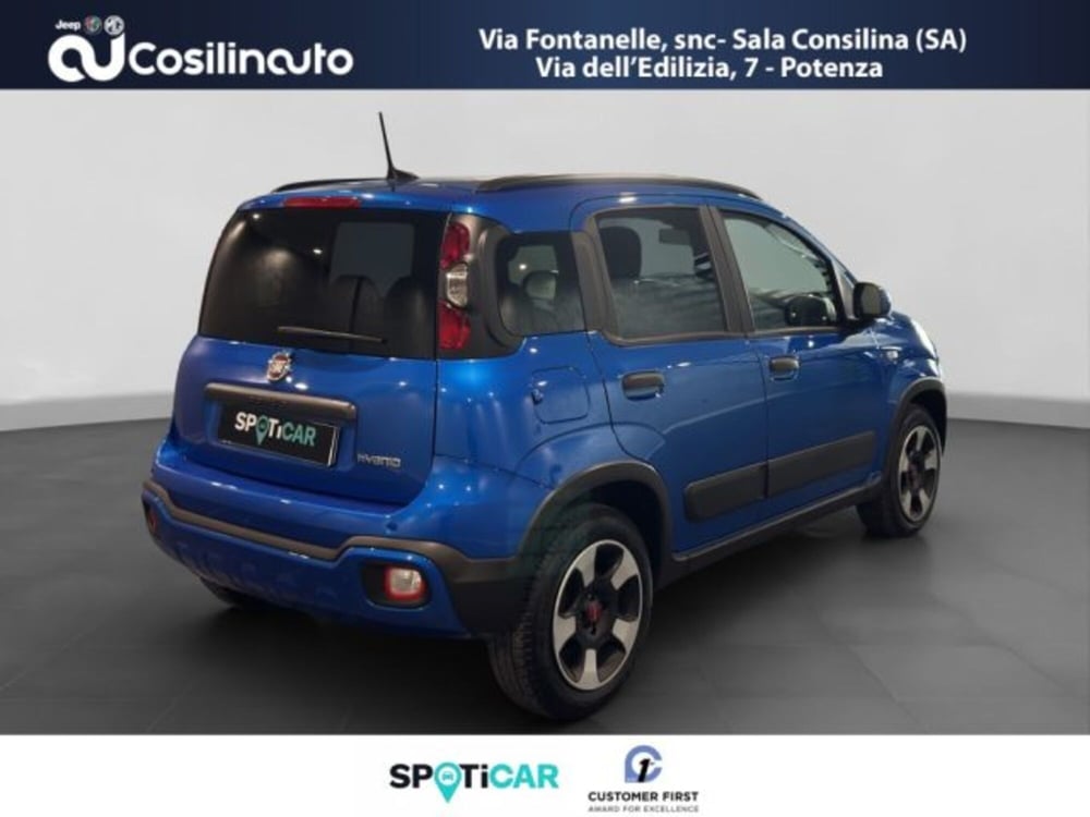 Fiat Panda Cross usata a Salerno (5)