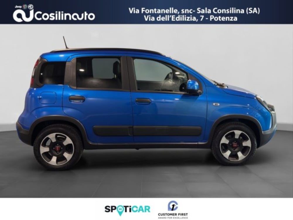 Fiat Panda Cross usata a Salerno (6)