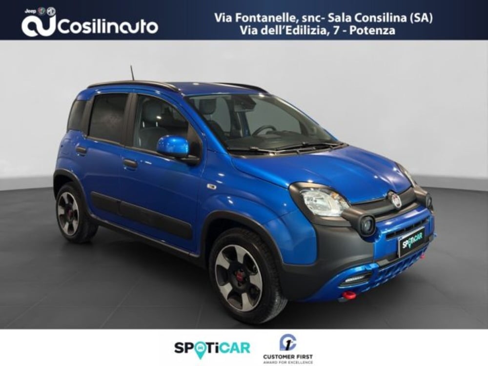 Fiat Panda Cross usata a Salerno (7)