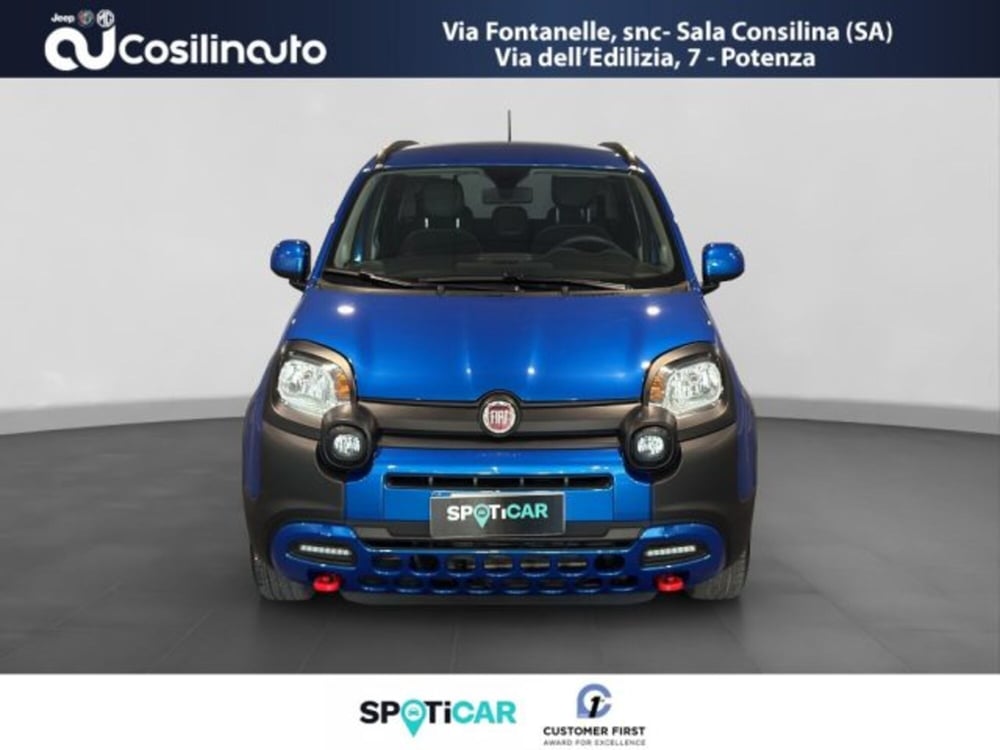 Fiat Panda Cross usata a Salerno (8)