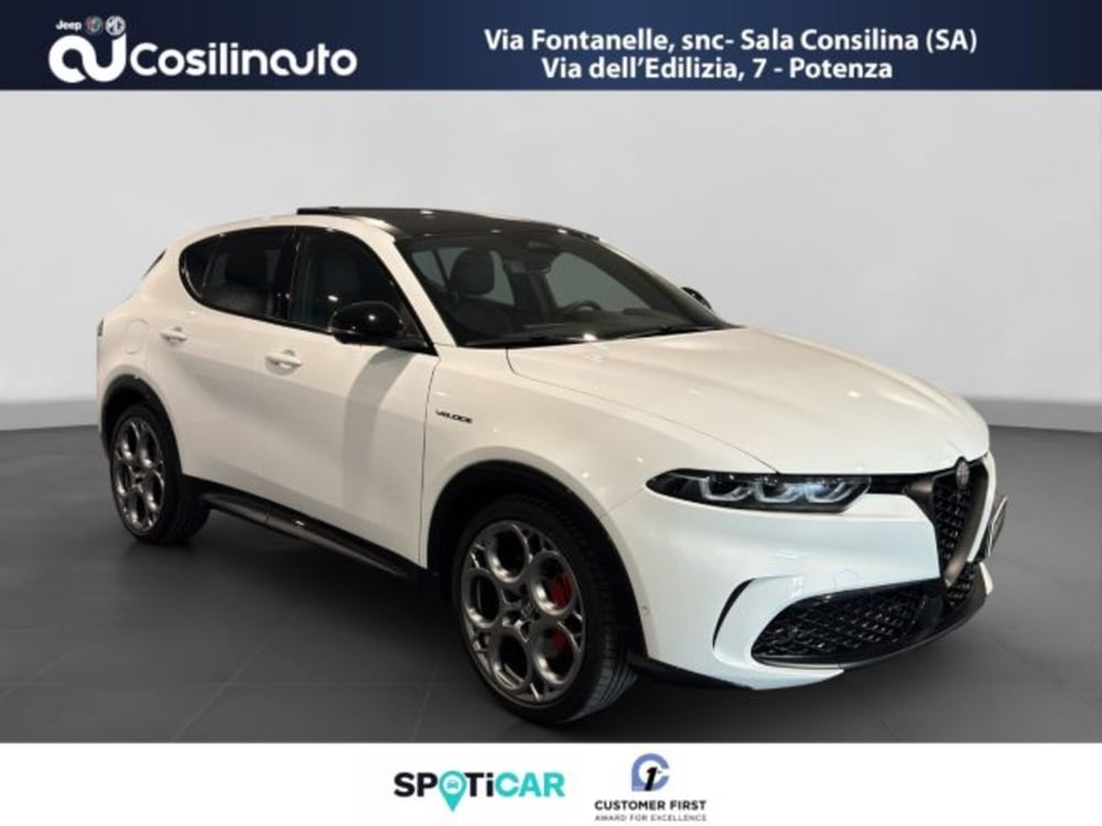 Alfa Romeo Tonale usata a Salerno (3)