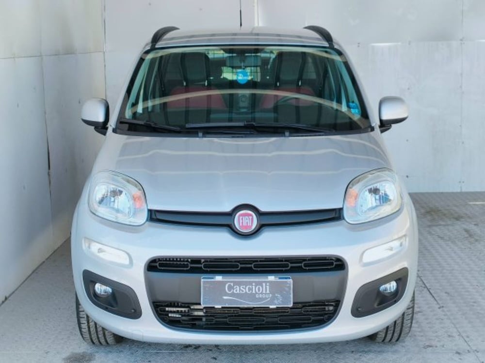 Fiat Panda usata a Ascoli Piceno (2)