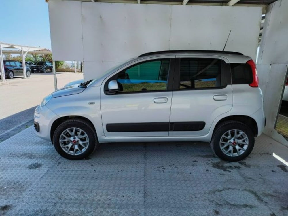 Fiat Panda usata a Ascoli Piceno (3)