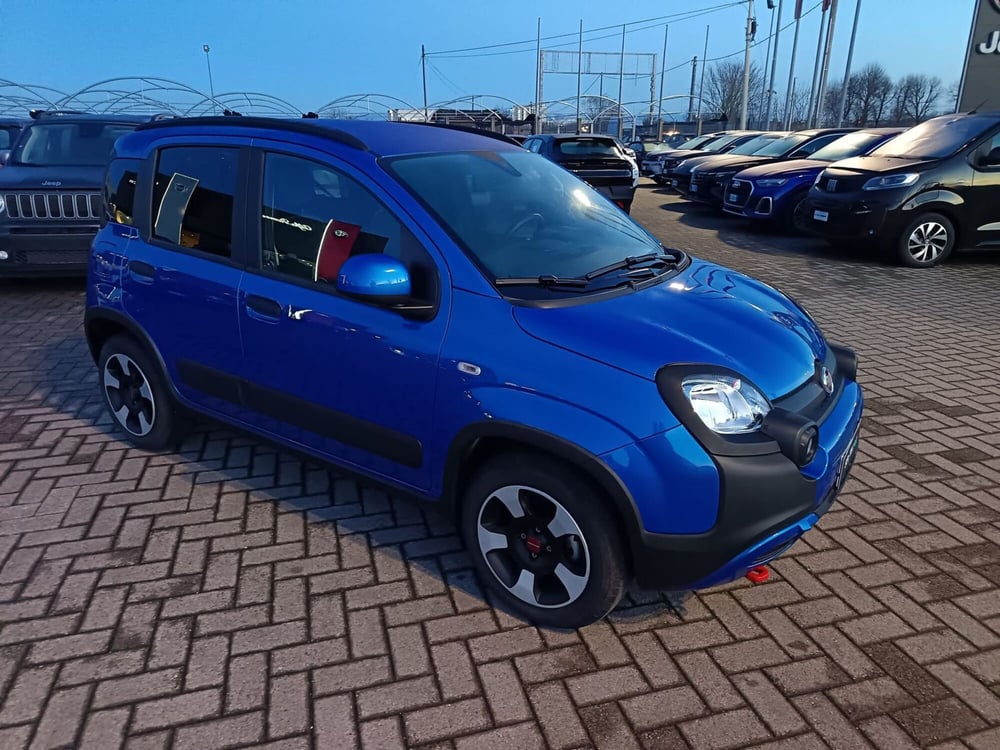 Fiat Panda Cross usata a Alessandria (4)