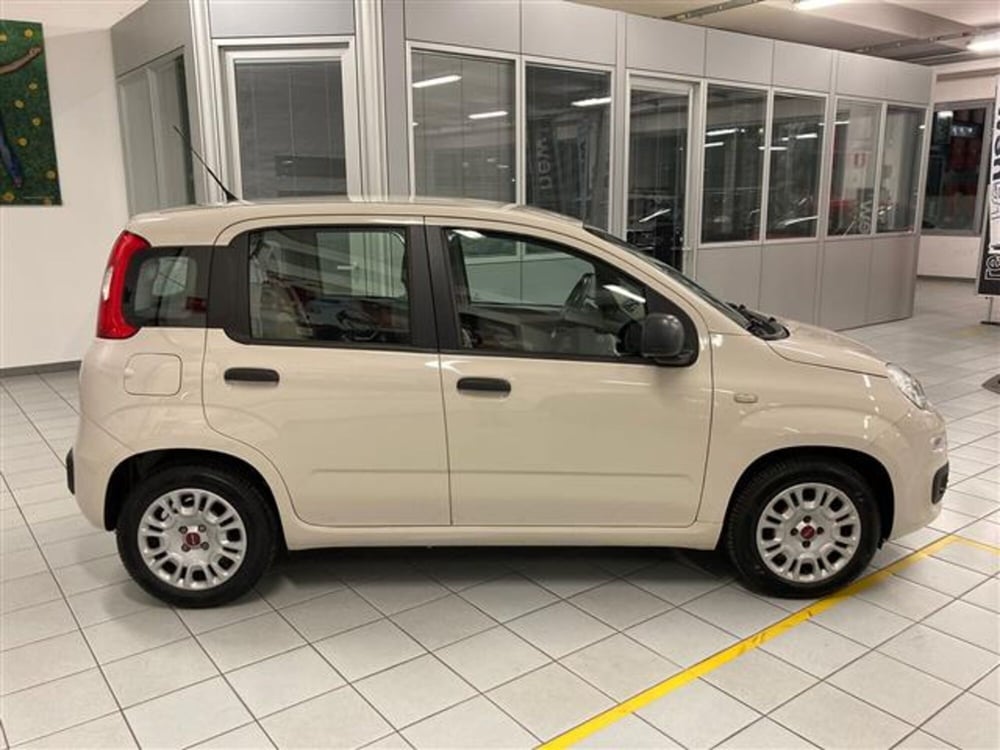 Fiat Panda usata a Brescia (13)