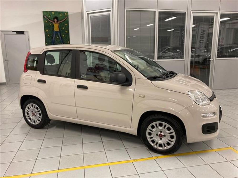 Fiat Panda usata a Brescia (7)