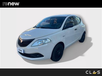 Lancia Ypsilon 1.2 69 CV 5 porte Platinum  del 2019 usata a Livorno