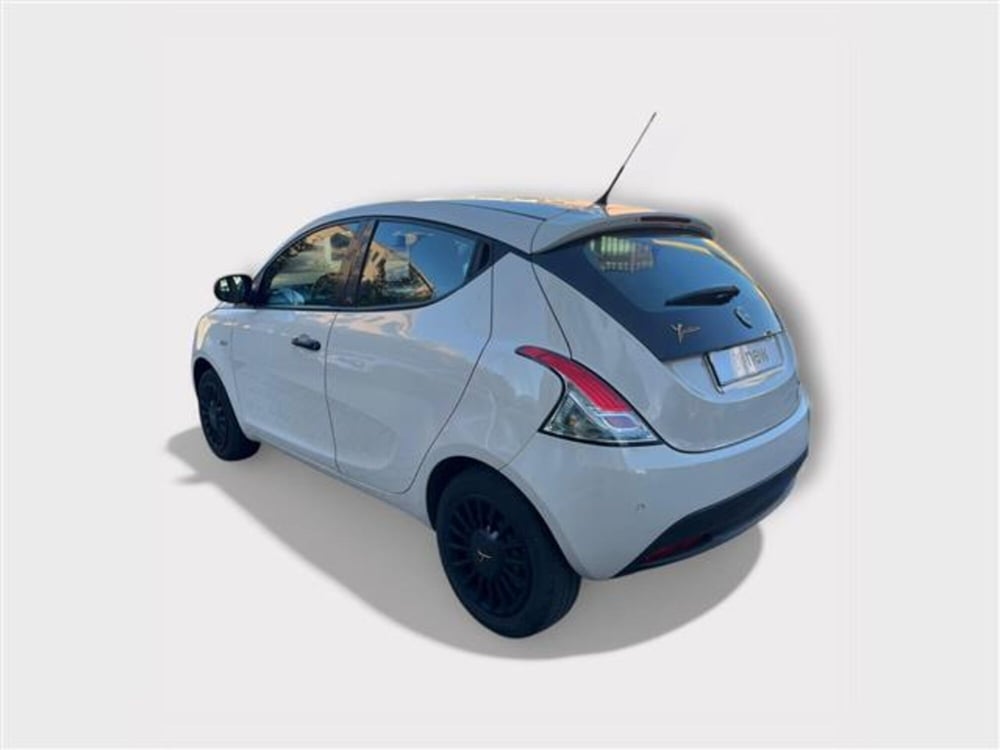 Lancia Ypsilon usata a Livorno (3)