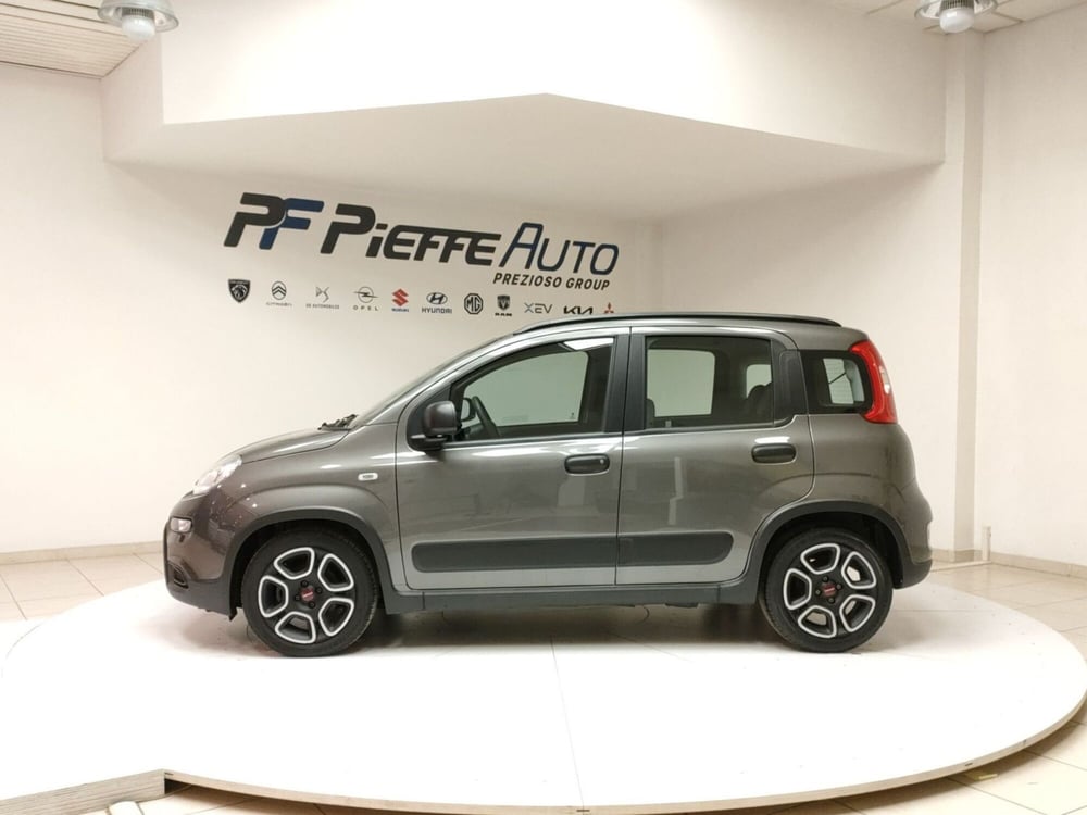 Fiat Panda usata a Teramo (2)