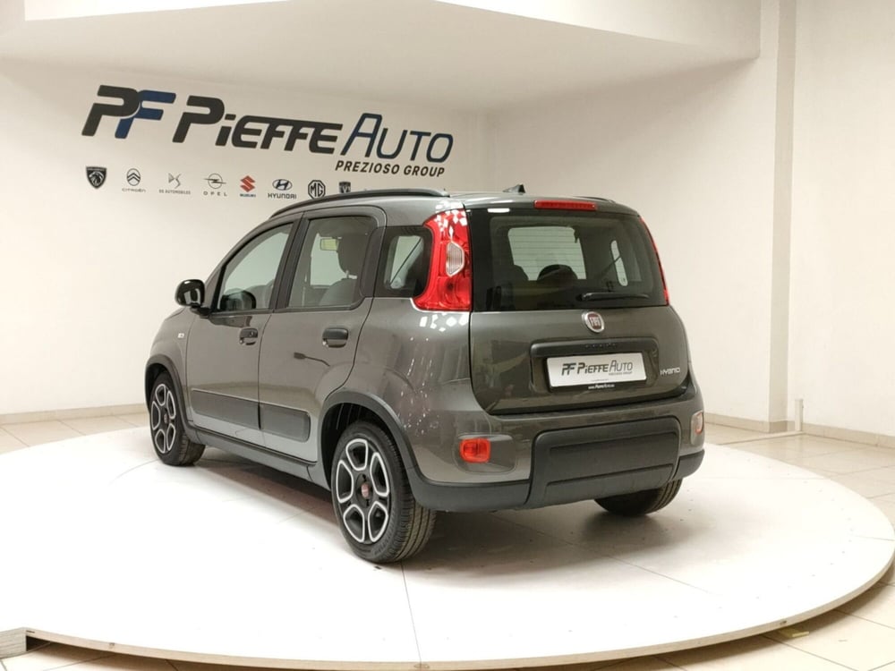 Fiat Panda usata a Teramo (3)