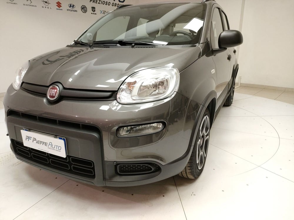 Fiat Panda usata a Teramo (8)