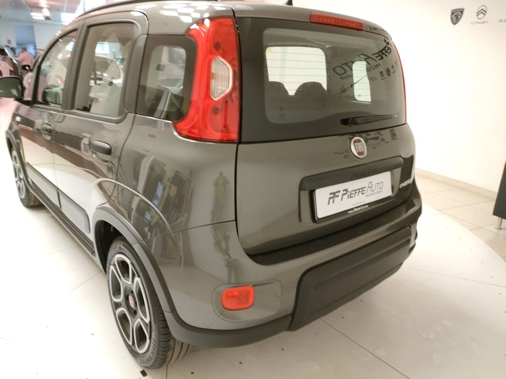 Fiat Panda usata a Teramo (9)