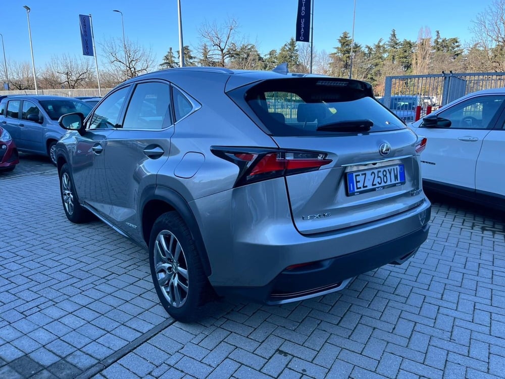 Lexus NX usata a Milano (5)