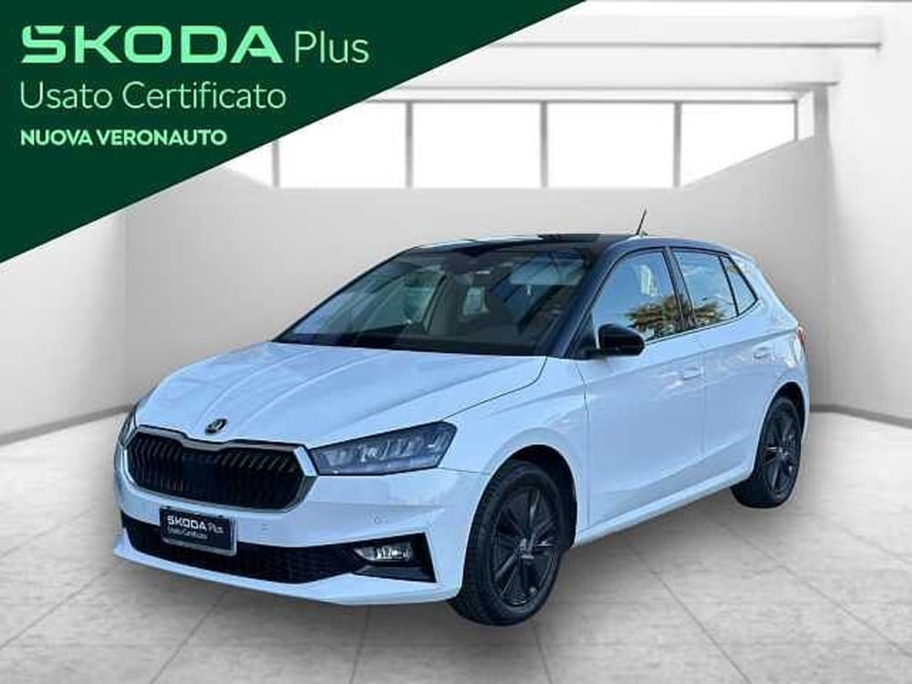 Skoda Fabia usata a Verona (2)