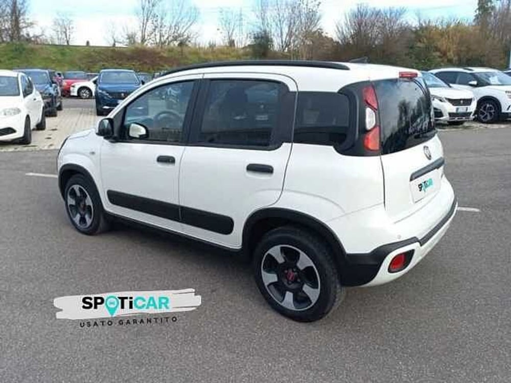 Fiat Panda Cross usata a Roma (5)