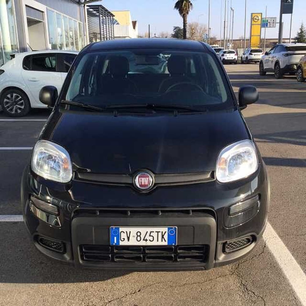 Fiat Panda usata a Ravenna (2)