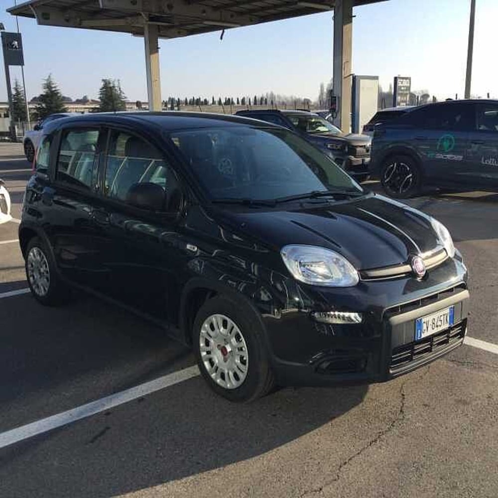 Fiat Panda usata a Ravenna (3)