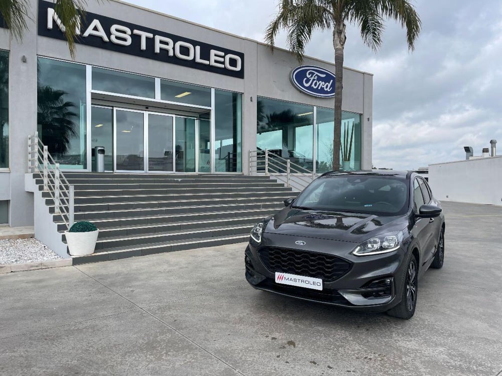 Ford Kuga usata a Lecce (2)