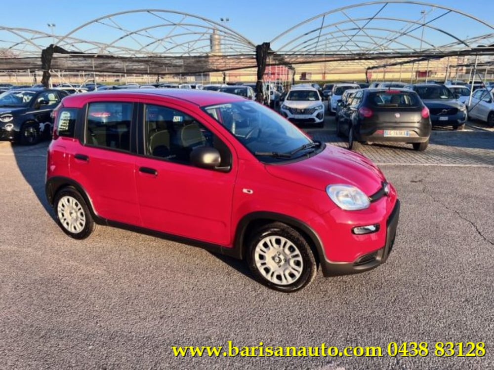 Fiat Panda nuova a Treviso (2)