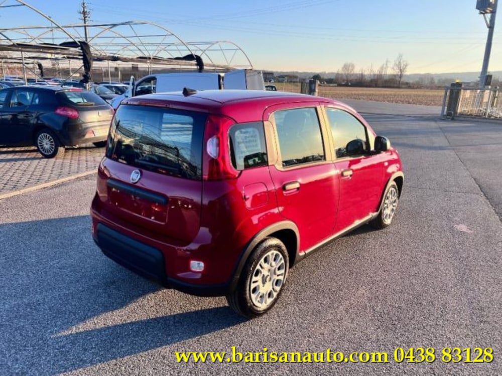 Fiat Panda nuova a Treviso (3)