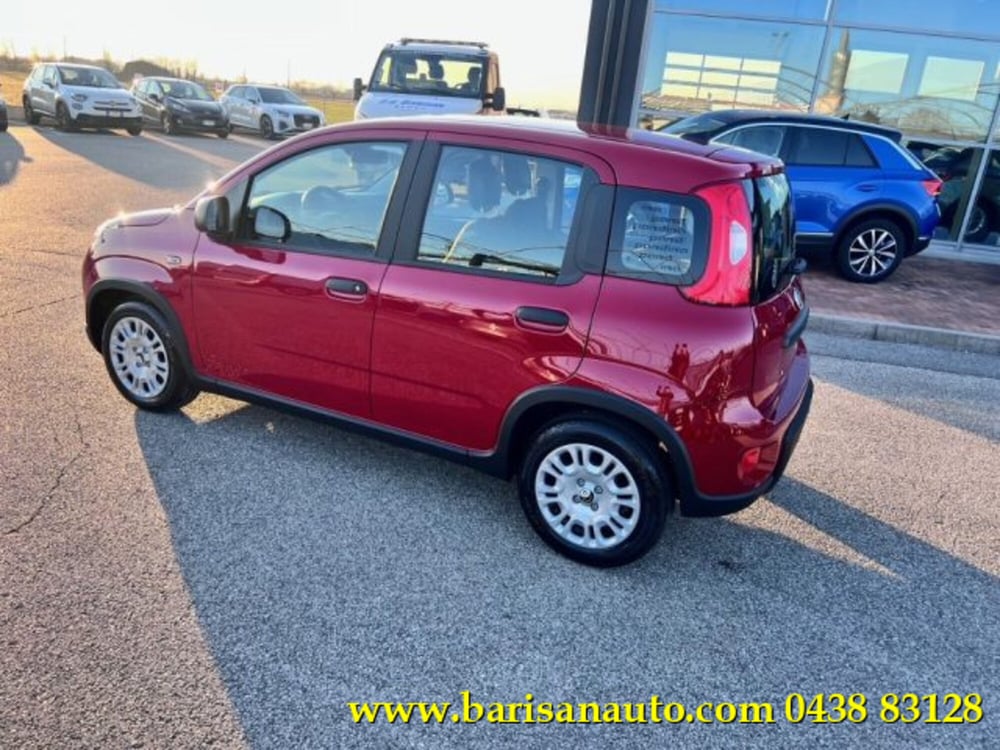 Fiat Panda nuova a Treviso (4)