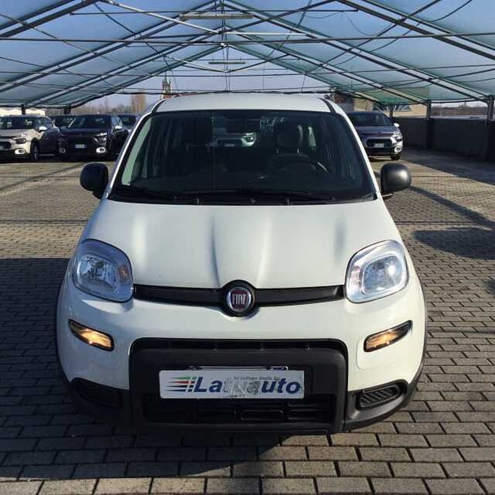 Fiat Panda usata a Ravenna (2)